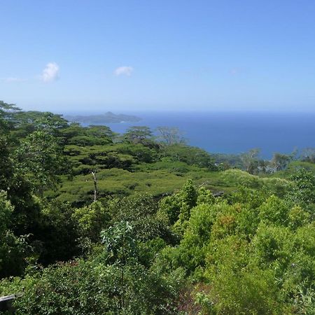 Villa Tropical Garden Self Catering Victoria Esterno foto