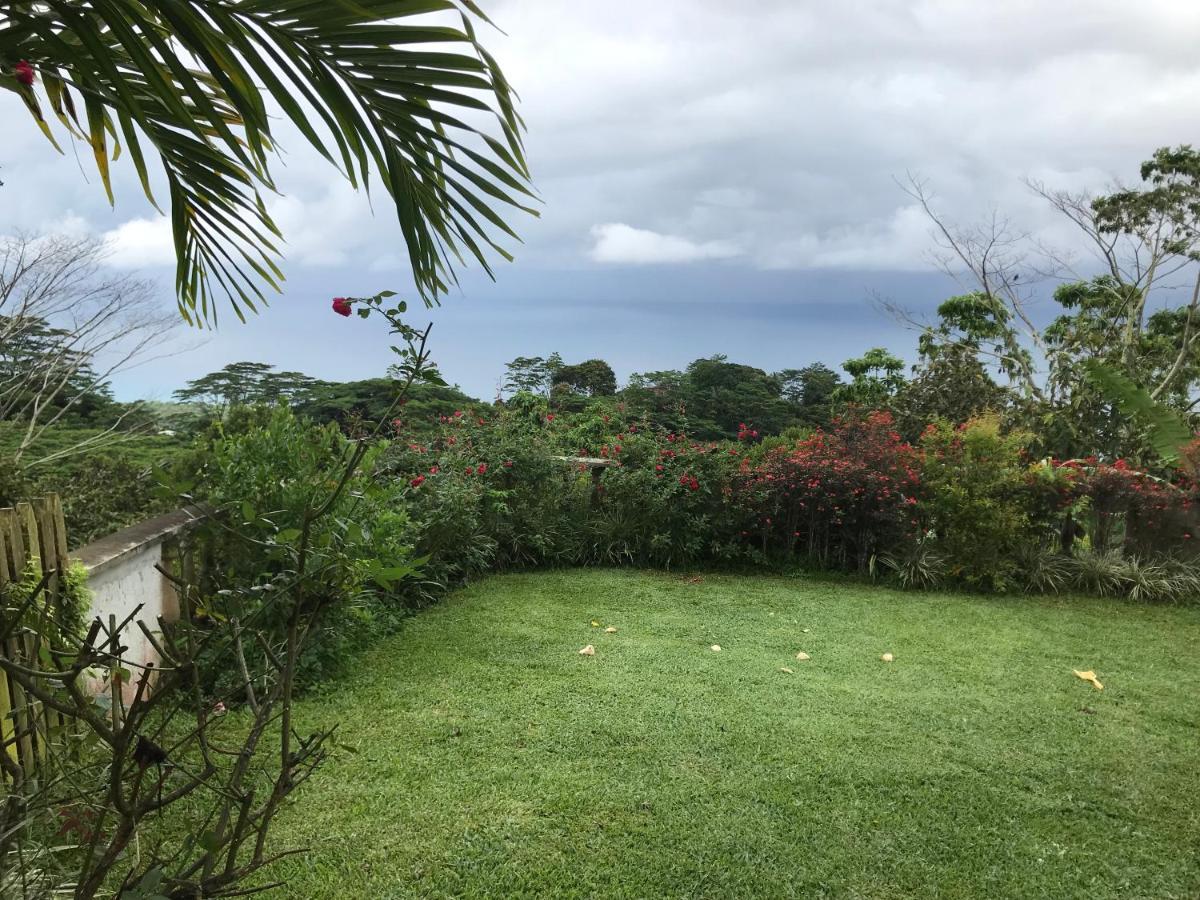 Villa Tropical Garden Self Catering Victoria Esterno foto