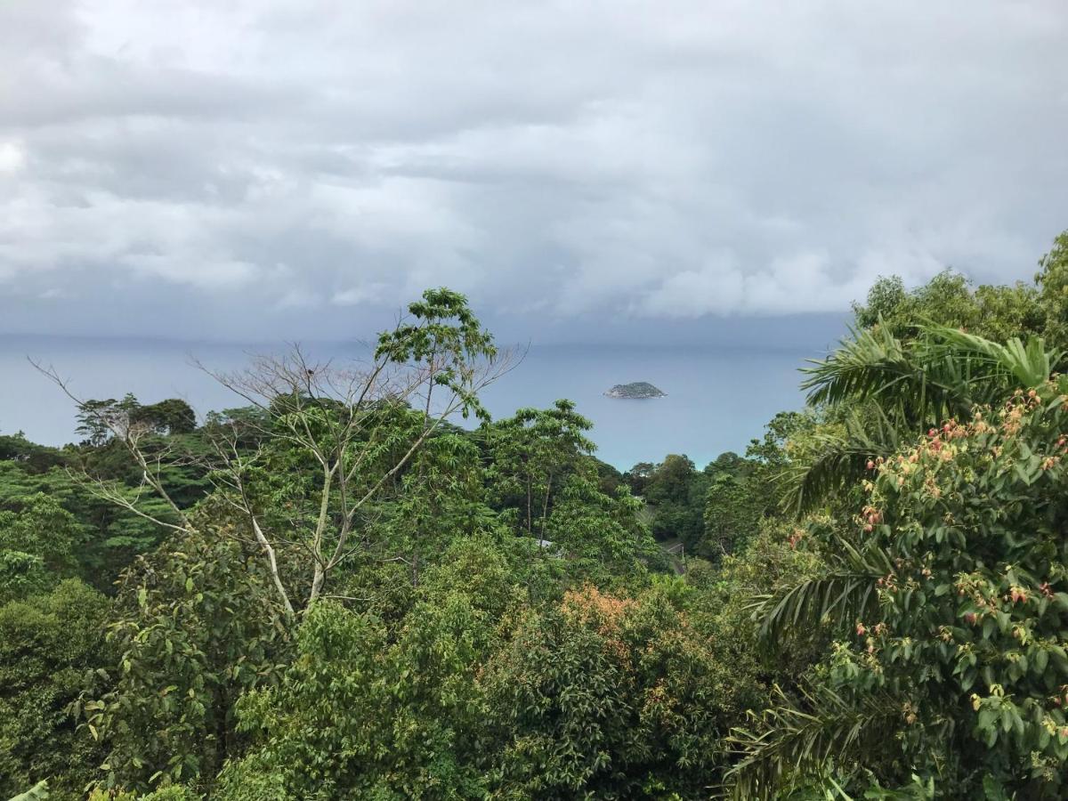Villa Tropical Garden Self Catering Victoria Esterno foto