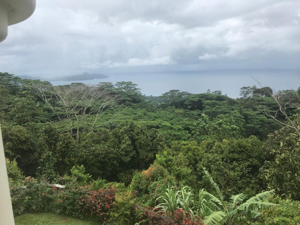 Villa Tropical Garden Self Catering Victoria Esterno foto