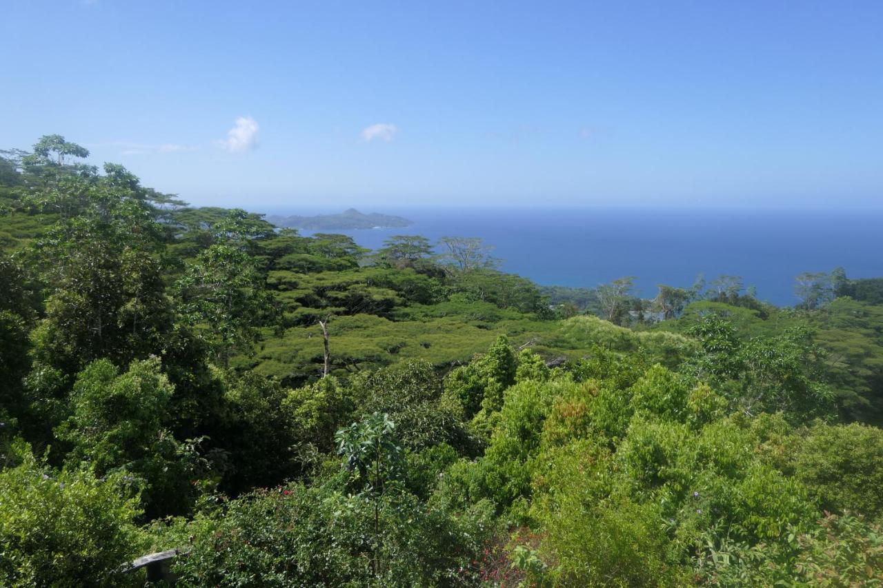 Villa Tropical Garden Self Catering Victoria Esterno foto