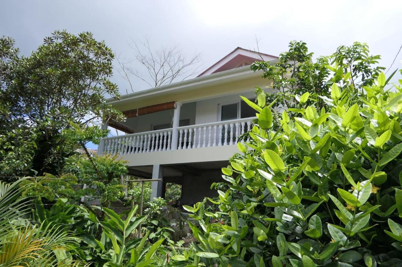 Villa Tropical Garden Self Catering Victoria Esterno foto