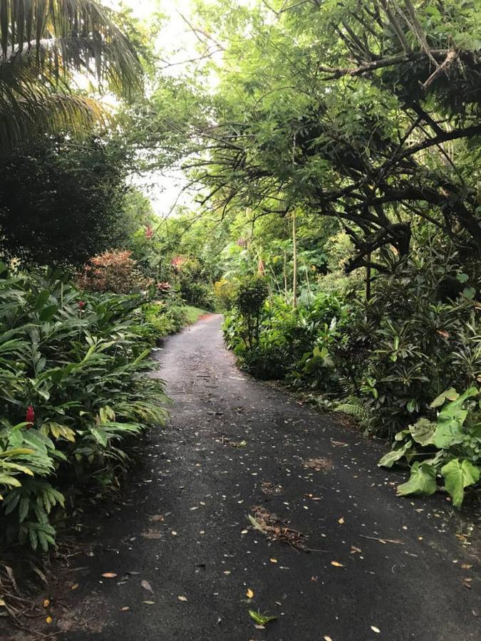 Villa Tropical Garden Self Catering Victoria Esterno foto